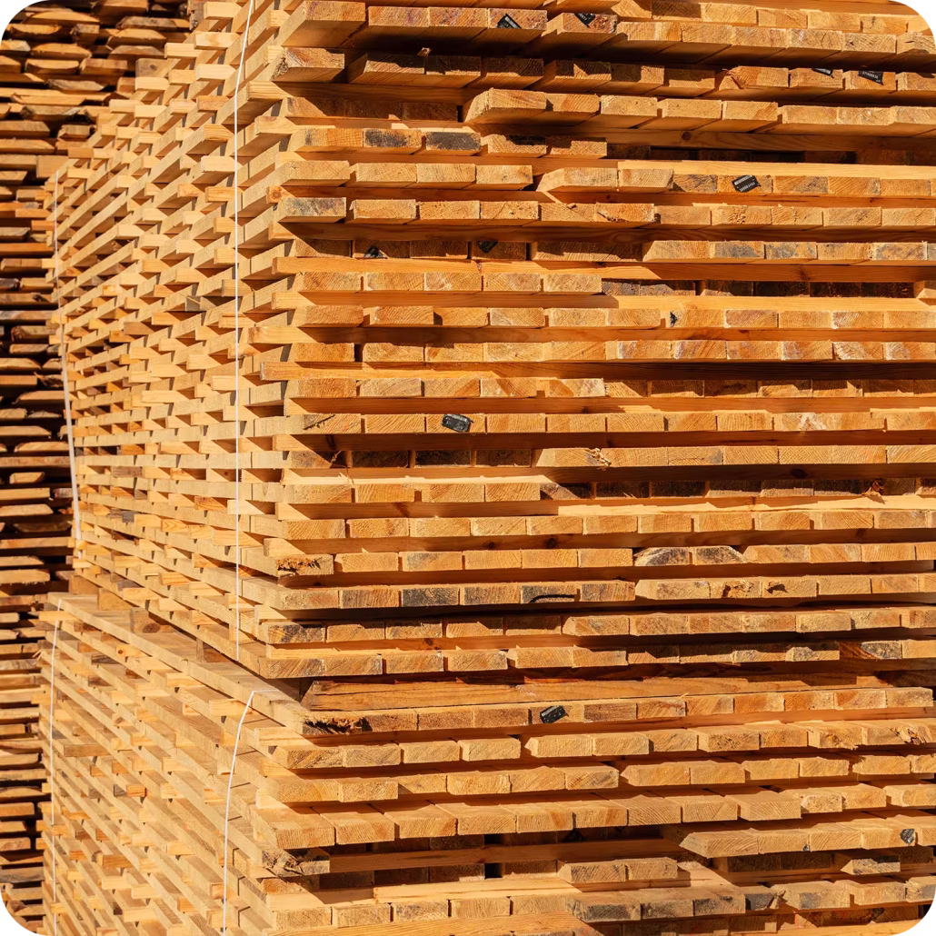 قیمت تخته چوب ساسنا و یولکا | خرید تخته چوبی روسی وارداتی